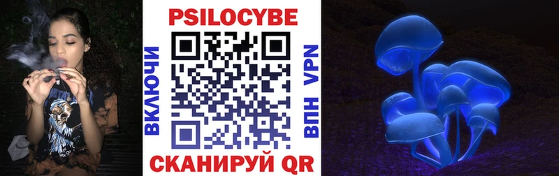 дарк нет состав Темрюк Псилоцибиновые грибы Cubensis